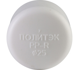 Заглушка для полипропиленовых труб под сварку (цвет белый) Политэк d=25 9000001025 в Нижнем Новгороде 2