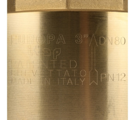 Клапан обратный пружинный муфтовый с металлическим седлом EUROPA 100 3 Itap в Нижнем Новгороде 7