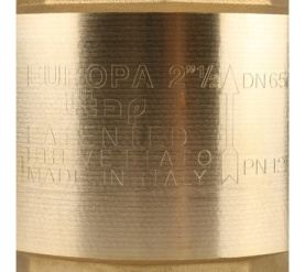 Клапан обратный пружинный муфтовый с металлическим седлом EUROPA 100 2 1/2 Itap в Нижнем Новгороде 7